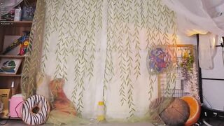 mollyflwers Irresistible Cam Session 2026-02-09