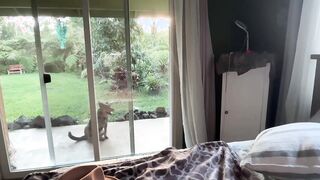 kaileeshy Addicted after one show 2026-05-23